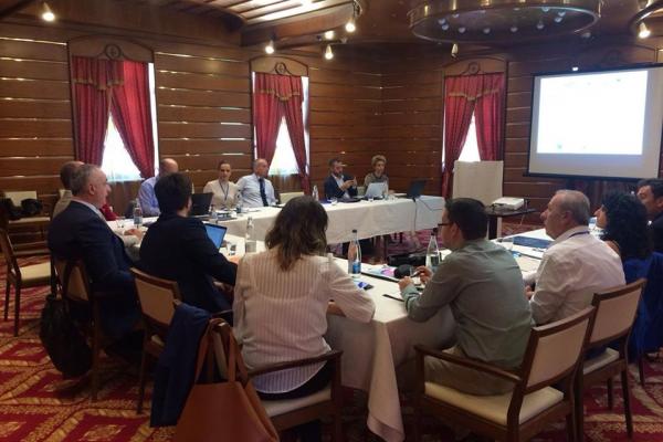 First Steering Committee, Kotor