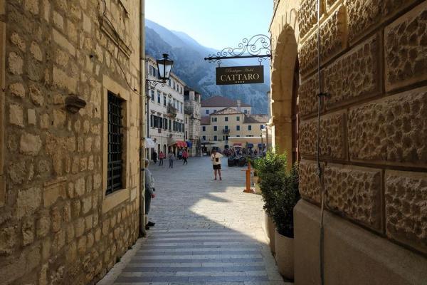 First Steering Committee, Kotor